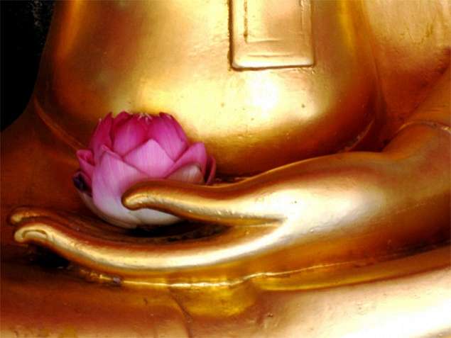 buddha-with-flower