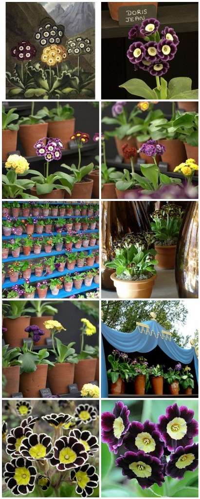 mosaic5db8e9d6b34e4f6f0261a03dc6871a6e07b9c91f-411x1023