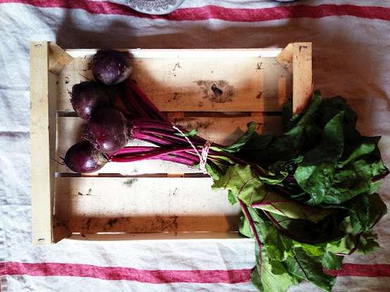 beetroot