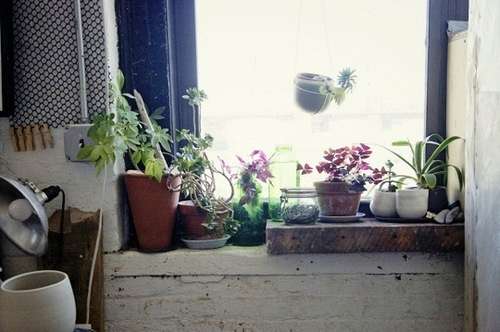 livinggreen