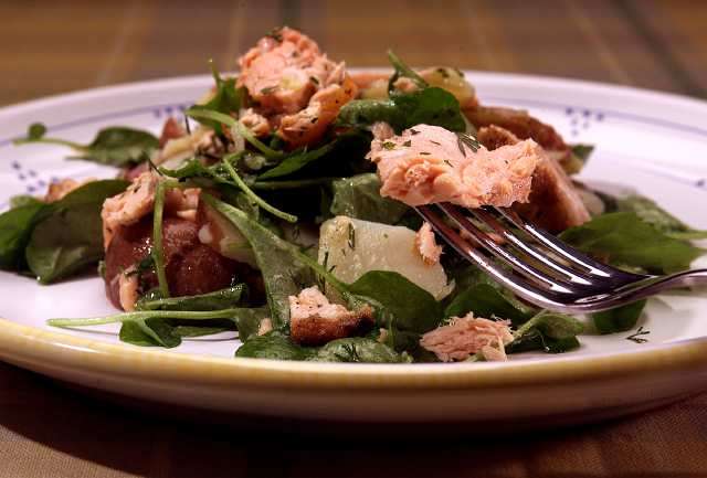 salmon