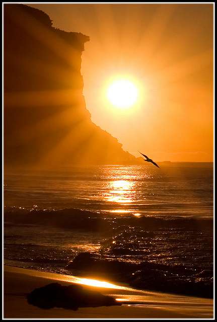 sunrise