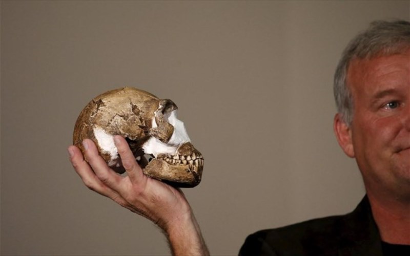 homo-naledi