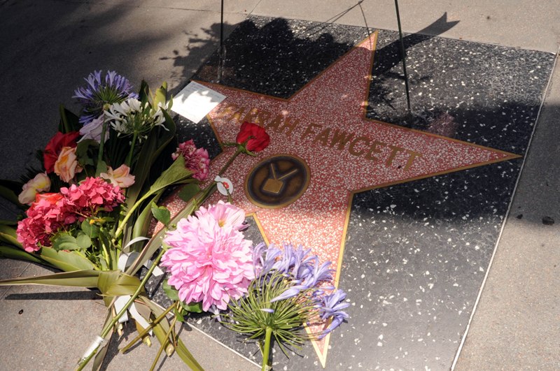 Farrah Fawcett's star on Hollywood Walk of Fame, Hollywood Boulevard, CA