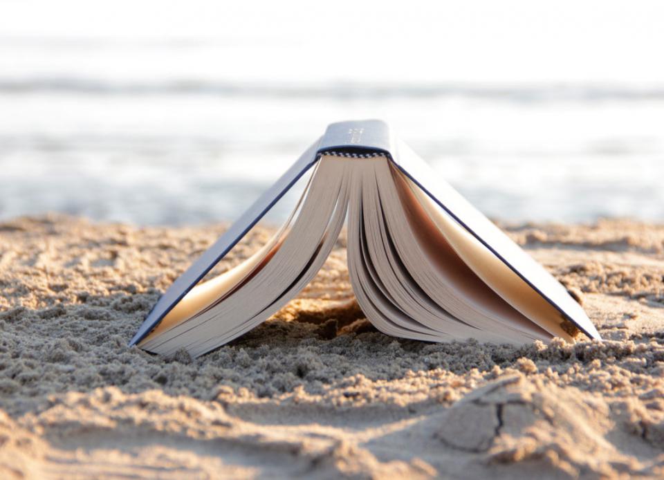 beach-book
